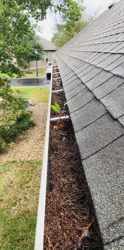 Before gutter clearance